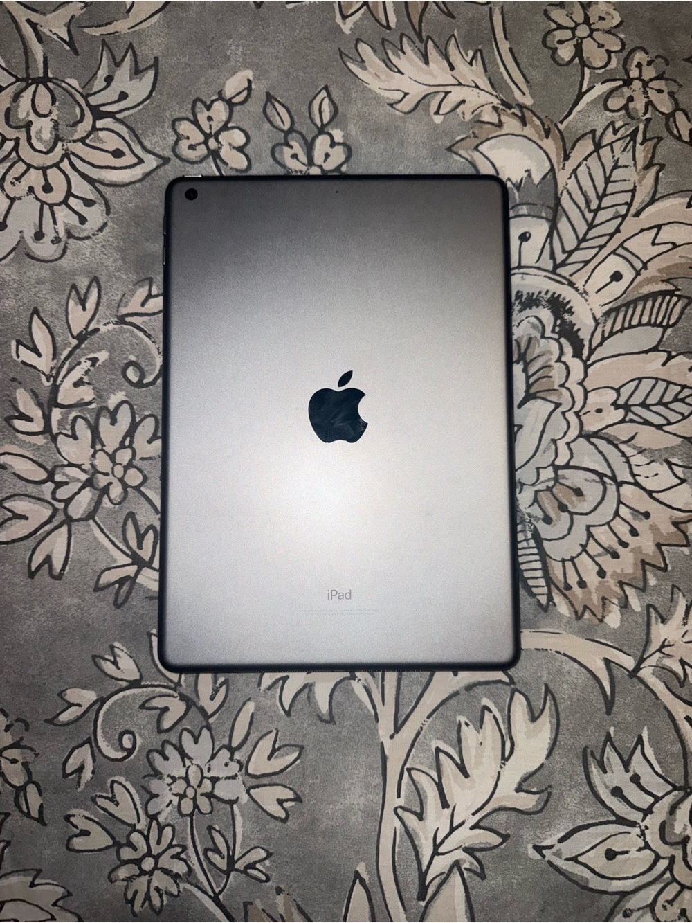 Apple iPad - Silver Back